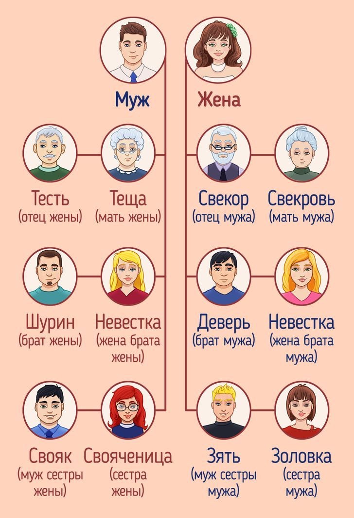 Обвинения в вовлечении&nbsp;родственников